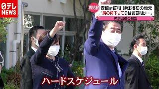 安倍前首相が“再始動”　体調戻り辞任後初のお国入り（2020年11月3日放送「news every.」より）