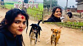 #video  || माही मनीषा का DOG कैसे खा रहा है आप भी देखिए।इस वीडियो में अंत तक || #Mahi_Manisha