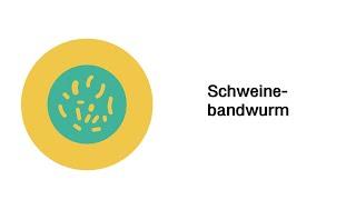 Schweinebandwurm - Infektionskrankheiten