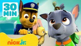 Psi Patrol | Kiedy zwierzęta przejmują wieżę obserwacyjną! | 30 minut | Nick Jr. Polska