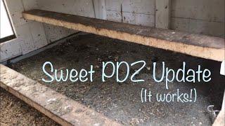 Cleaning the Chicken Coop - Sweet PDZ Update