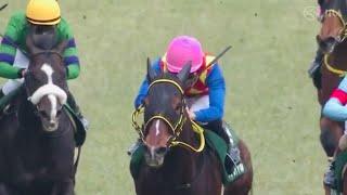 17 February 2024 Japan Tokyo Race Course JRA GIII