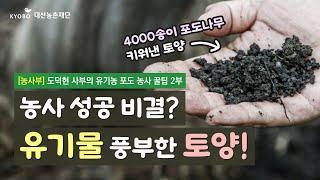 [농사부]  #도덕현 사부 (2) 4000송이 포도 농사 비결은? 유기물 풍부한 토양 만들기!