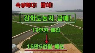 강화도농지급매물 해안도로 300m 대수로옆 물가 주말농장 [ 평당 17만5천원 ]