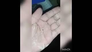 Seed Cleaning Machine|Grain Cleaning Machine|Wheat Cleaning Machine|Angel Sortech| Mo.9099932762