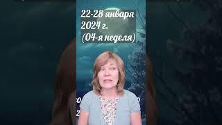 Неделя, шикарная для действий: краткий прогноз на четвёртую неделю 2024 года