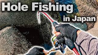 Catching Premium Rockfish with Shore Jigging and Hole Fishing&Cooking a Gourmet Braised Fish Dish