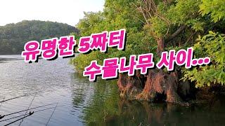 붕어낚시. 아는 사람은 다 아는 유명한 5짜터 대물낚시(Korean big fishing)