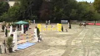 Hendrik Gravemeier - Pertenstein (1.10.2010).flv