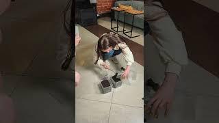 Какое опасное или агрессивное животное ты бы завел дома?  #паук #птицеед #питомец