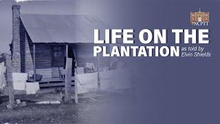 Life on the Plantation as Told by Elvin Shields