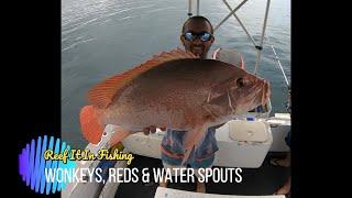 Reef Fishing FNQ - Wonkeys, Reds and Water Spouts