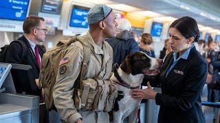 Airline Staff Rejects Black Veteran and His Service Dog, Leading to an Unbelievable Outcome...