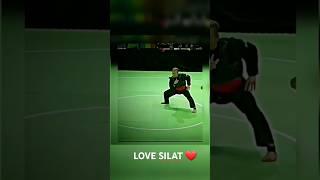 Silat part 2 #subscribe