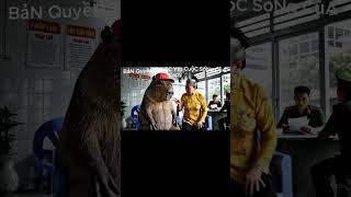 không biết capy kiếm được lơn quay miễn phí ở đâu ra ta #cuocsongcuacapy