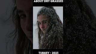 Why the Turkish film "About Dry Grasses"  is one of the best of 2023 #cinema #mervedizdar