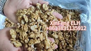 Chinese Walnut kernel factory