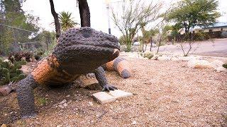 Stormwater Currency, Tucson Water