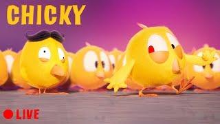  LIVE CARTOON | WHERE'S CHICKY |  Cartoon in English for Kids  | Live Stream