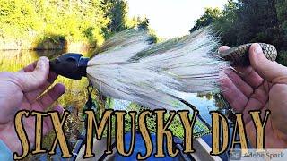 6 MUSKY DAY!! Small River - Kayak Musky Fishing!