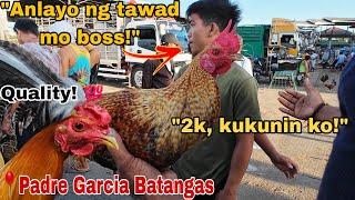 IBA ANG KALIDAD NG MGA MANOK DITO! Bentahan ng Manok sa Padre Garcia Batangas