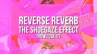 REVERSE REVERB ~ The Effect to Perfect your Pedalboard Sound | How to Shoegaze