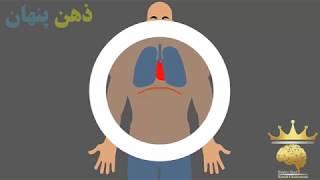 آموزش تنفس شکمی (Diaphragmatic breathing)