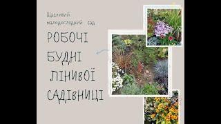 БУДНІ ЛІНИВОЇ САДІВНИЦІ. ПЕРЕРОБКА САДОЧКУ. НОВИЙ ХОСТАРІЙ.