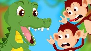 Five Little Monkeys Swinging In A Tree  | 5 Little Monkeys Swinging In A Tree Song | Monkeys Rhyme