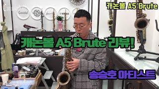 캐논볼 인기 모델  A5 Brute 리뷰