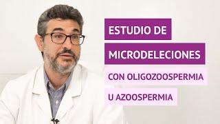 ¿El estudio de microdeleciones se realiza siempre que hay oligozoospermia u azoospermia?