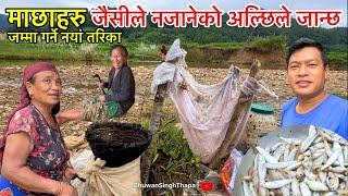 जैसीले नजानेको अल्छीले जान्छ ट्रिक लाएर हेर्नु माछा कति धेरै / Village Fishing / Bhuwan Singh Thapa