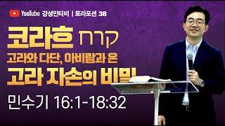 토라포션 38 민수기ㅣ코라흐 קרחㅣ고라와 다단, 아비람과 온ㅣ강성민 목사