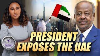 African Leader Sends Out Warning About The Hidden Agenda Of The UAE