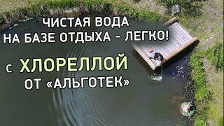 Чистая вода на базе отдыха! Легко, с хлореллой от компании Альготек #хлорелла #очисткаводоема