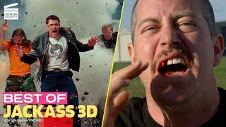 Best of Jackass 3D