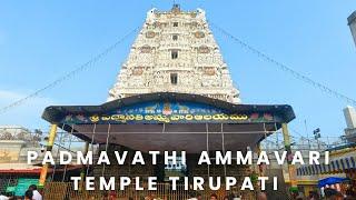 Padmavathi Ammavari Temple Tirupati || Sri Padmavathi Ammavari Temple Tiruchanoor | Tirupati