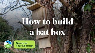 How to build a bat box | RSPB Nature on Your Doorstep