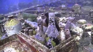 Diving Truk Lagoon