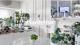 Planterior | 식물카페 아니에요? 깜짝놀랄 아파트 플랜테리어, 숨겨진 거실정원까지 대공개!