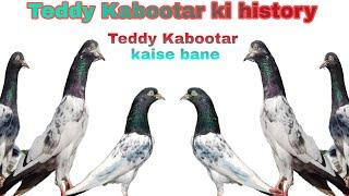 Teddy Kabootar ki history |Teddy Kabootar kaise bane Janiye Ustad Ayyub Sahab ki Zubani