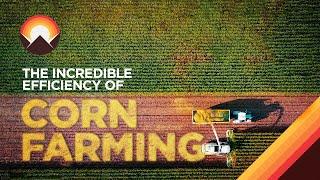 The Incredible Logistics Behind Corn Farming