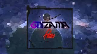 Gnizama - Future