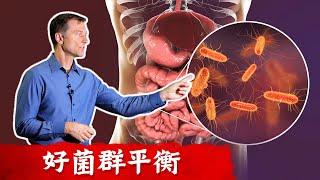 腸道菌平衡,抵抗病毒,消炎,增強免疫力, 柏格醫生 Dr Berg