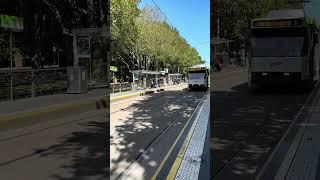 Melbourne Tram (1) 4K HDR