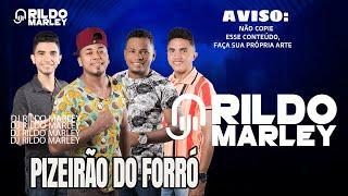 AGOSTO 2018 ATUALIZADO |PIZEIRÃO DO FORRÓ | CANAL DJ RILDO MARLEY