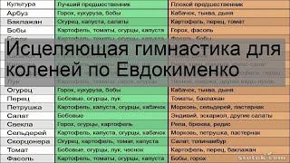 Исцеляющая гимнастика для коленей по Евдокименко