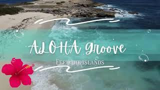 Aloha Groove: Relaxing Jazz Music For Stress Relief - Unwind After A Long Day | Feel Good Music