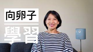 【观点】面对女性困境，让我们向卵子学习｜狩精卵｜准备充分｜沉着冷静｜环保｜浪漫的随机性