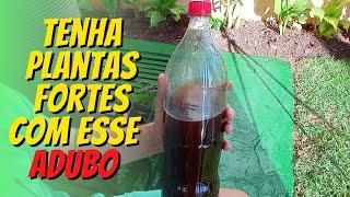 BORRA DE CAFÉ NAS PLANTAS? - APRENDA 2 FORMAS DE USAR ESSE ADUBO PODEROSO